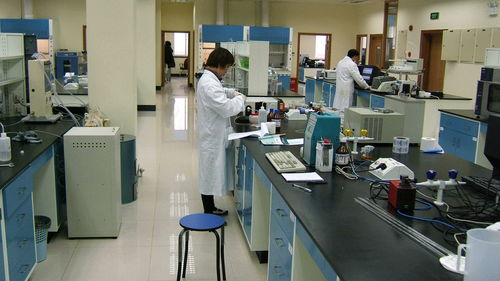 江蘇世通儀器檢測服務在飼料添加劑生產中的關鍵作用